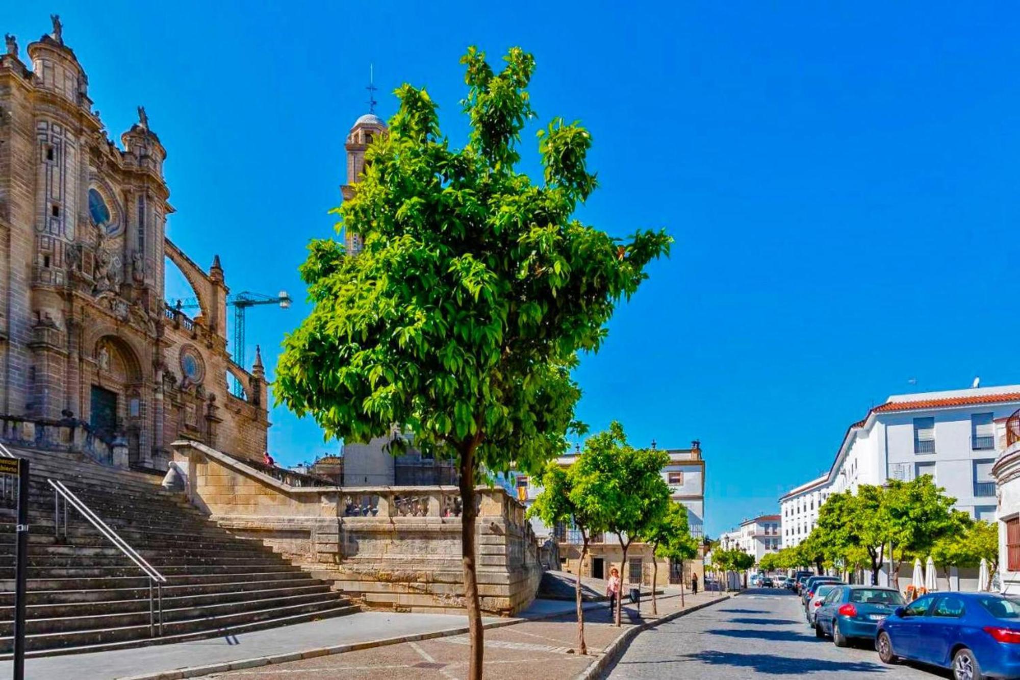 Appartamento La Torre De La Catedral - Ole Solutions Jerez de la Frontera Esterno foto